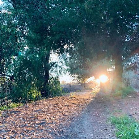 Monte Rosado Viviendas Vacacionales La Peza المظهر الخارجي الصورة